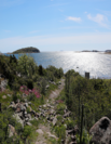 Fulltegnet juniorleir