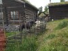 IMG_20200802_113323